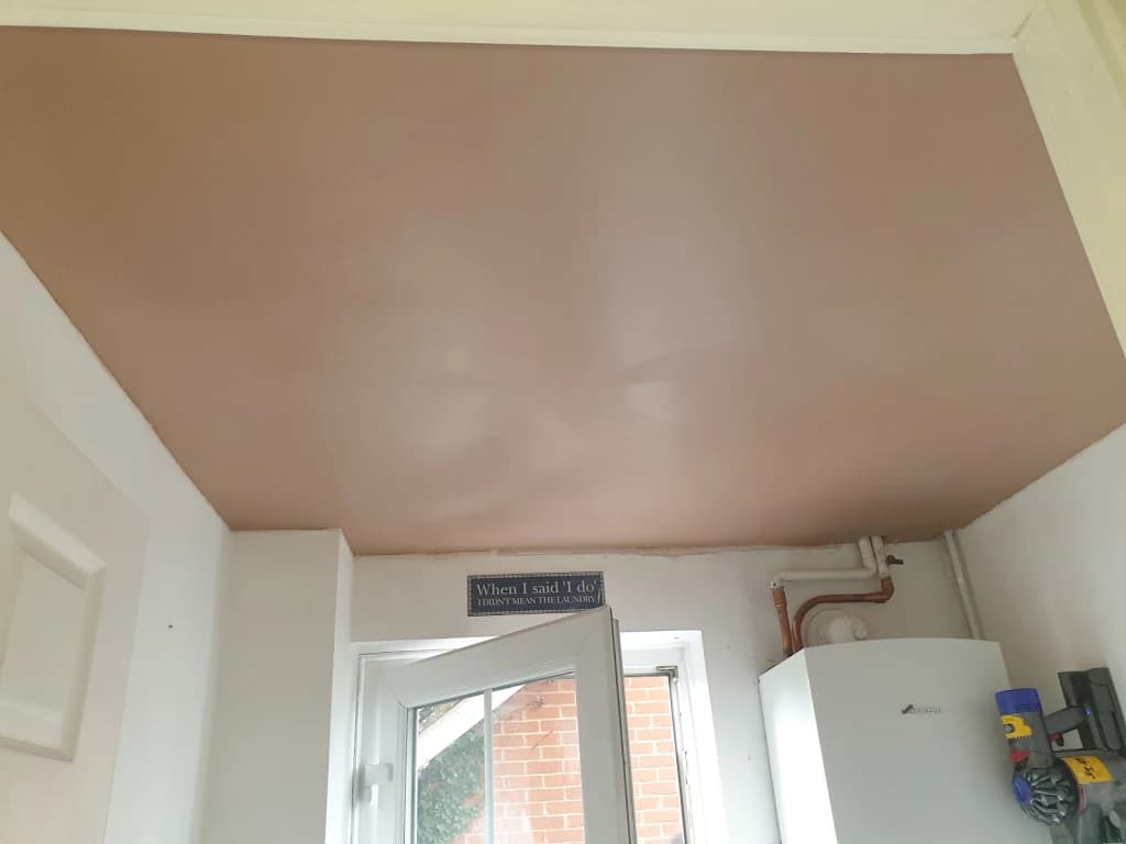 Recent Plastering Project