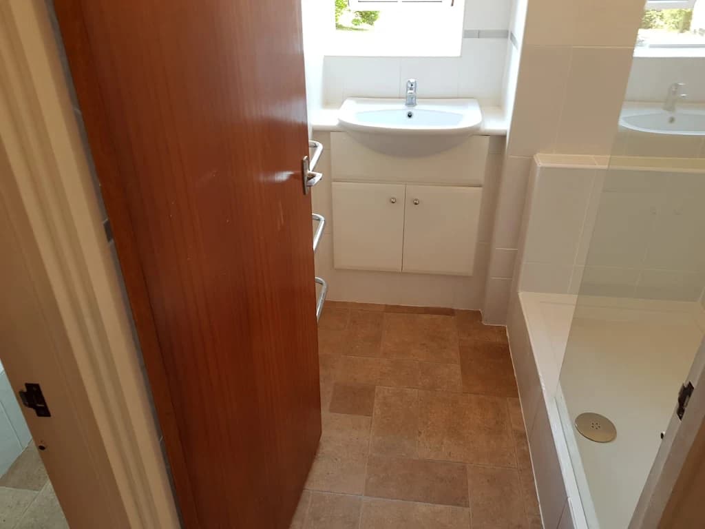 Recent Bathroom Renovation