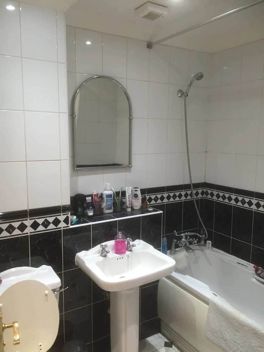 Recent Bathroom Renovation